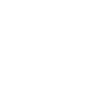 Shany Apparel